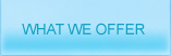 what we offer