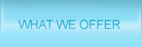 what we offer